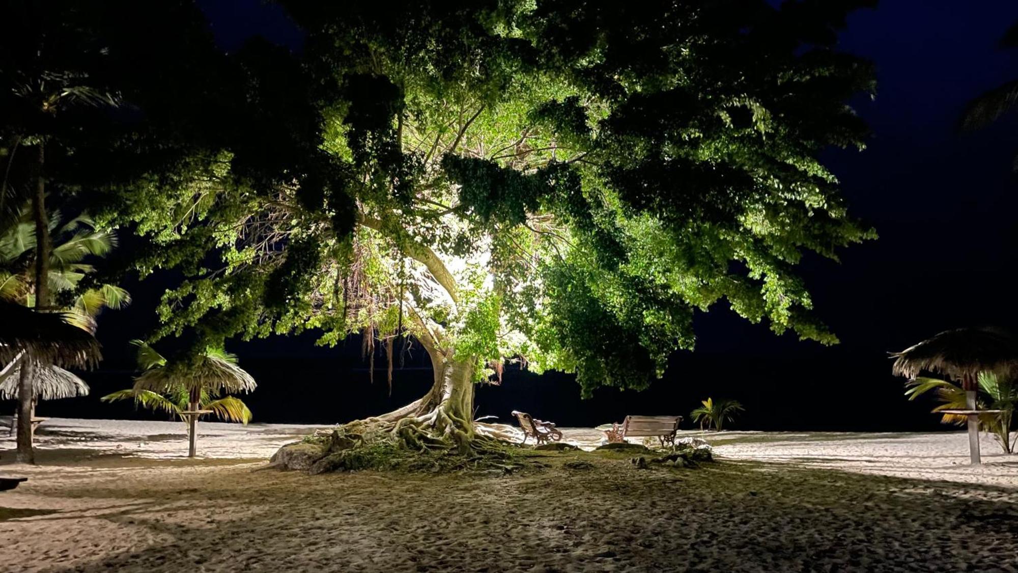 Studio Anse Des Rochers Saint Francois ภายนอก รูปภาพ